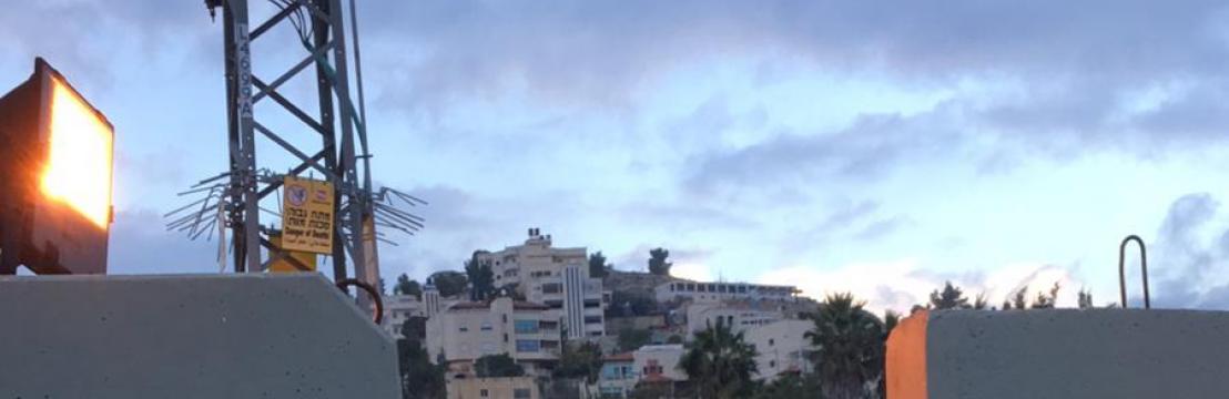 שי כץ