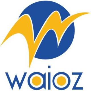 Waioz Consultancy Services