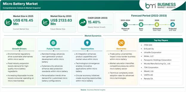 Micro Battery Market Strategic Framework