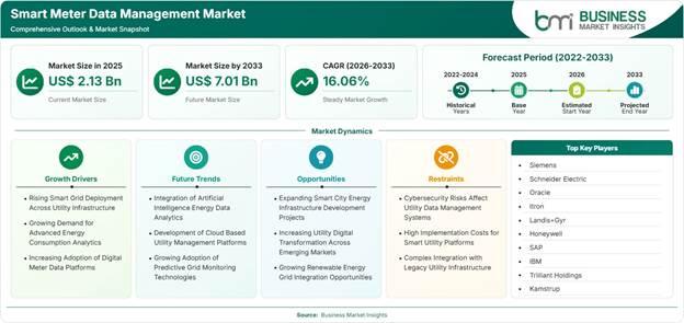 Smart Meter Data Management Market Strategic Framework